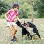 dog bite children